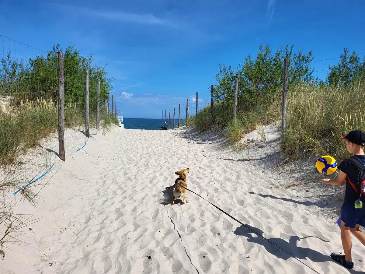 Plaża zachodnia Łeba. Piesek na smyczy i chłopiec z piłką do siatkówki idą piaszczystą ścieżką w stronę morza.