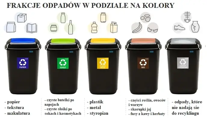 Gdzie wyrzucić kubek po jogurcie? Uniknij błędów w recyklingu