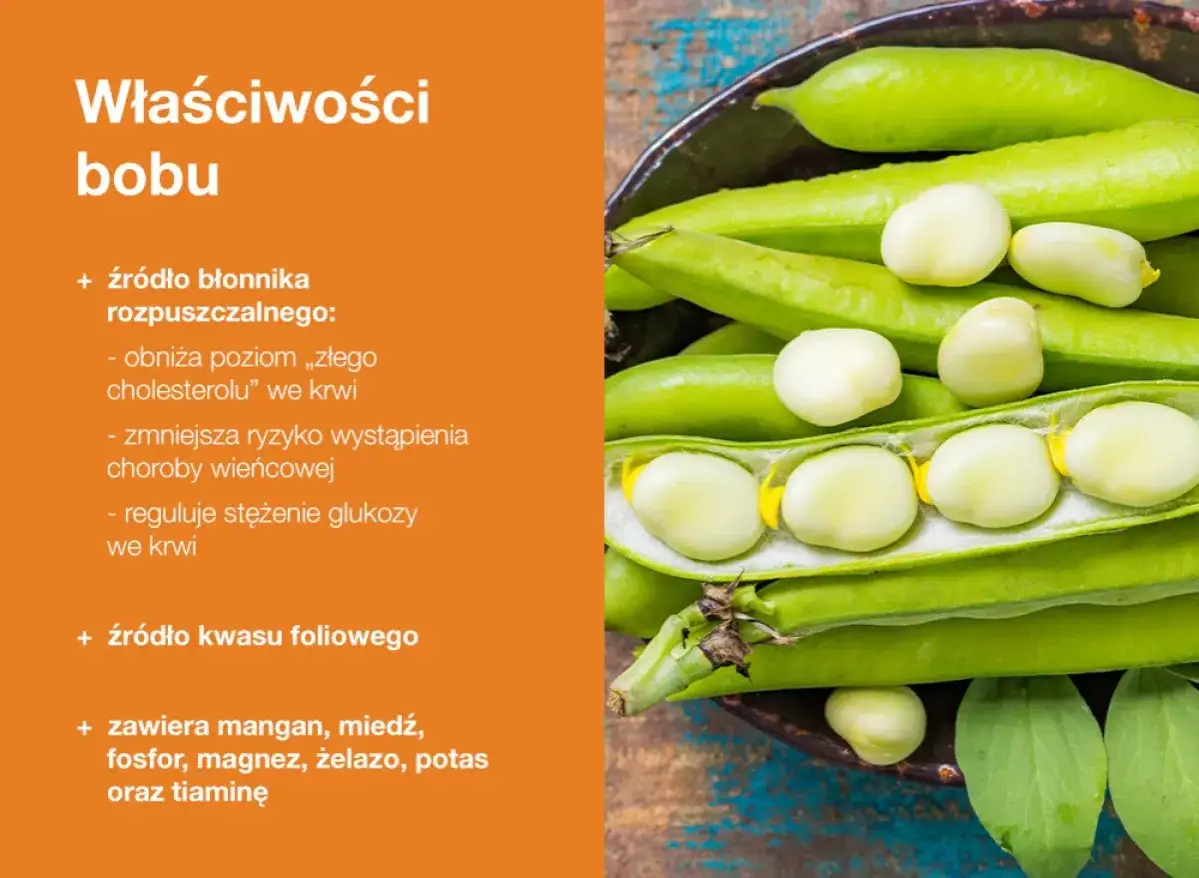 Bób, bogaty w błonnik i kwas foliowy, to zdrowy dodatek do diety. Zastanawiasz się, ile kalorii ma bób? Jest niskokaloryczny, a jego właściwości wspierają serce i regulują poziom cukru.