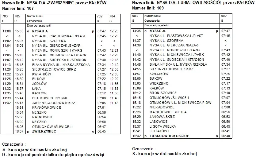 Skąd odjeżdża autobus Nysa? Adres, przewoźnicy, dojazd!
