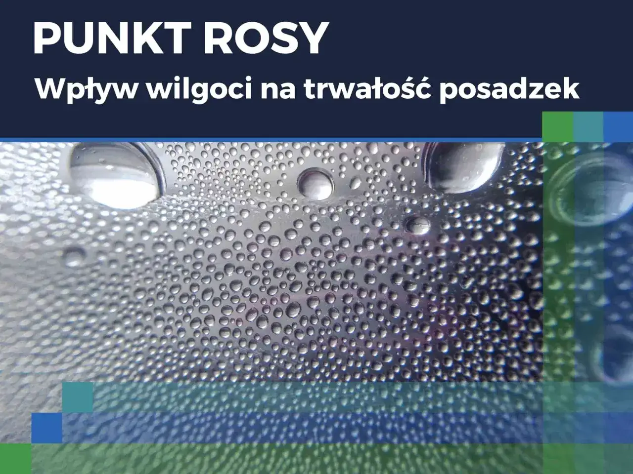 Krople wody na powierzchni, ilustrujące zjawisko punktu rosy i wpływ wilgoci na trwałość posadzek.