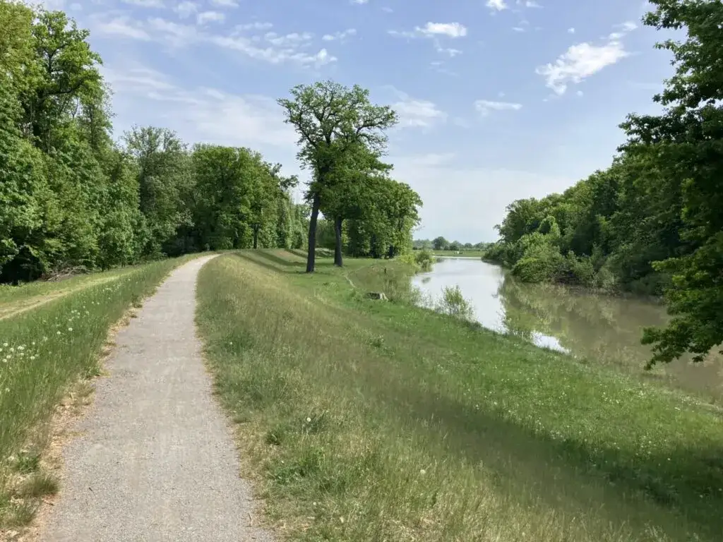 Najlepsze trasy rowerowe w Nysie: atrakcje, długość i praktyczne porady