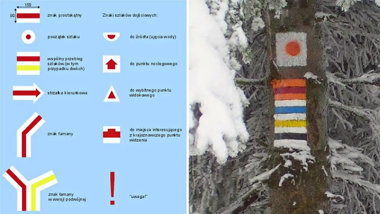 Kolorowe znaki szlaków turystycznych namalowane na drzewie w zimowej scenerii.