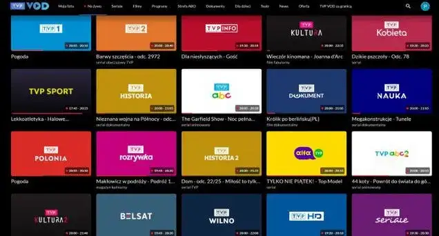 Telewizja dla niesłyszących: programy i możliwości dostępu w Polsce