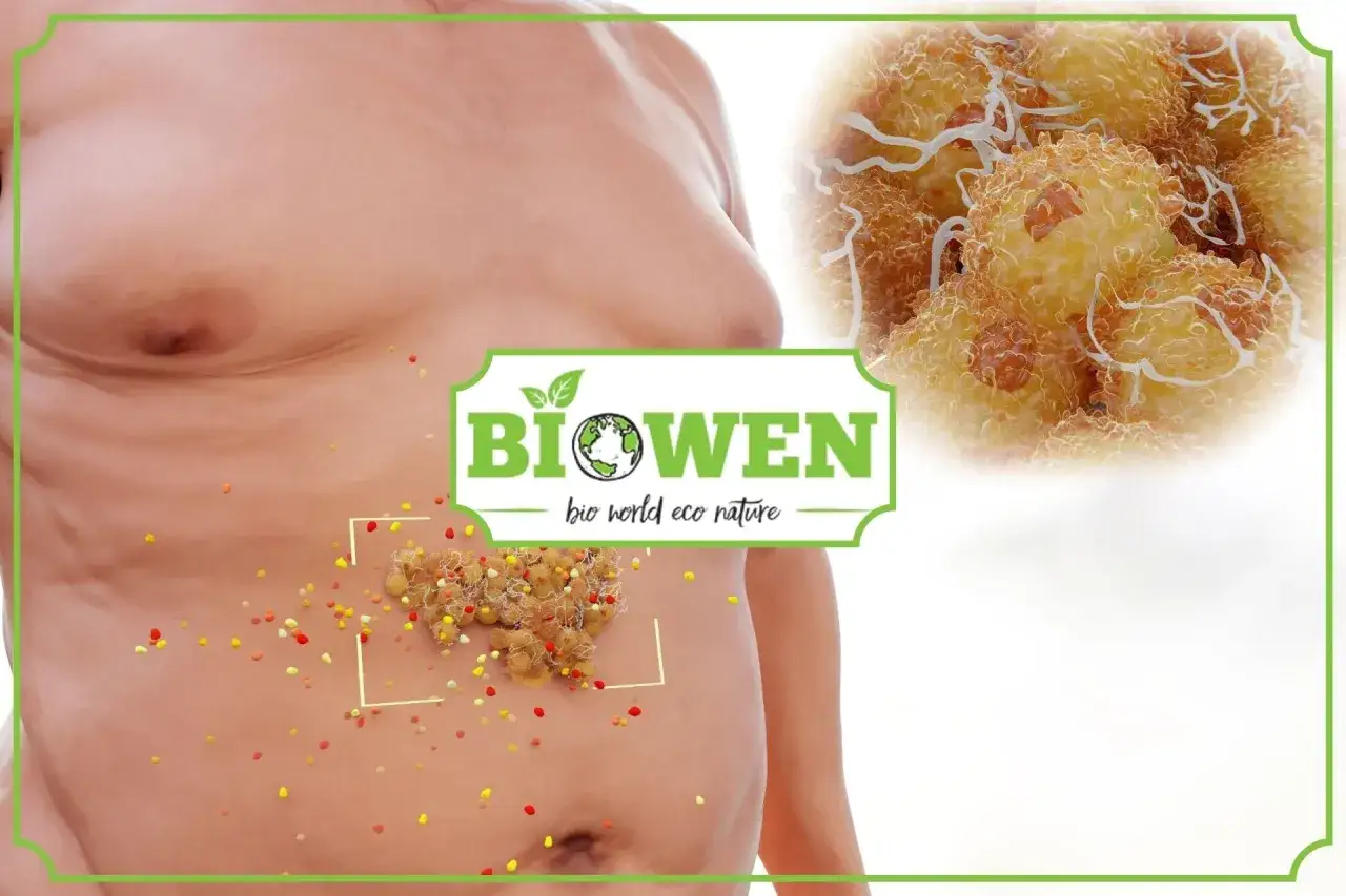 Zbliżenie na tkankę tłuszczową trzewną, pokazujące jej komórkową strukturę.