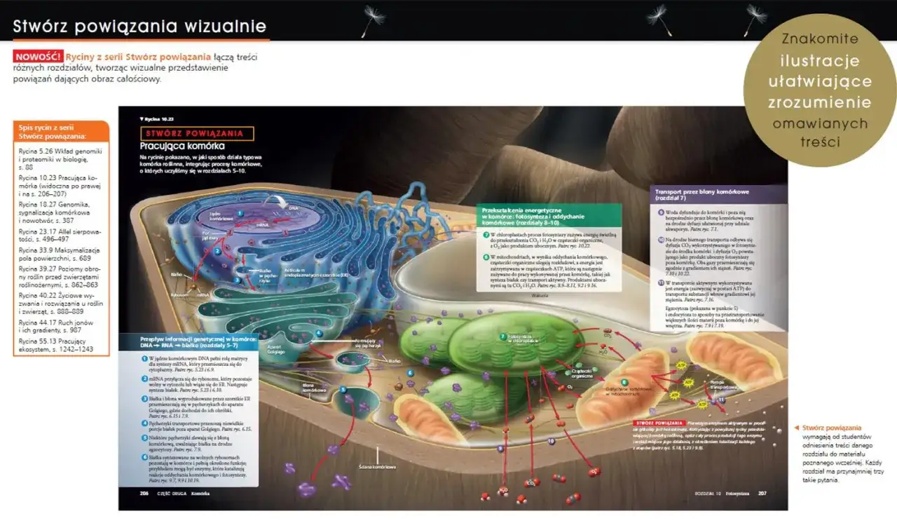 Biologia Villego czy Campbella - który podręcznik naprawdę się sprawdzi?