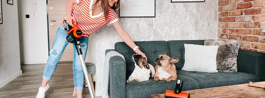 Skuteczne sposoby na pozbycie się sierści z kanapy bez wysiłku