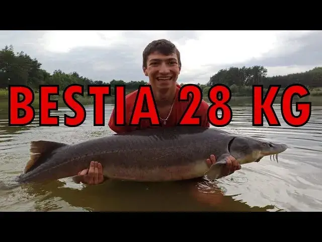 Jakie haczyki na jesiotra wybrać, aby uniknąć nieudanych połowów?