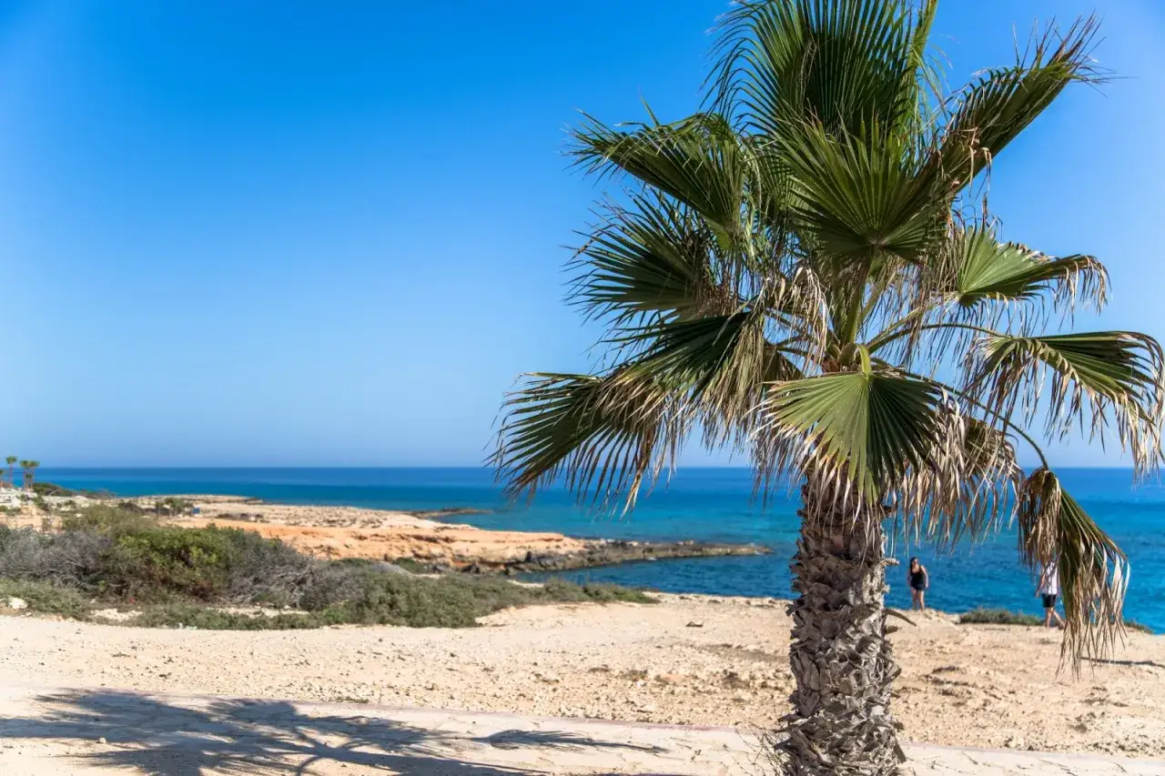 Ayia Napa: Raj dla turystów - Plaże, atrakcje i nocne życie