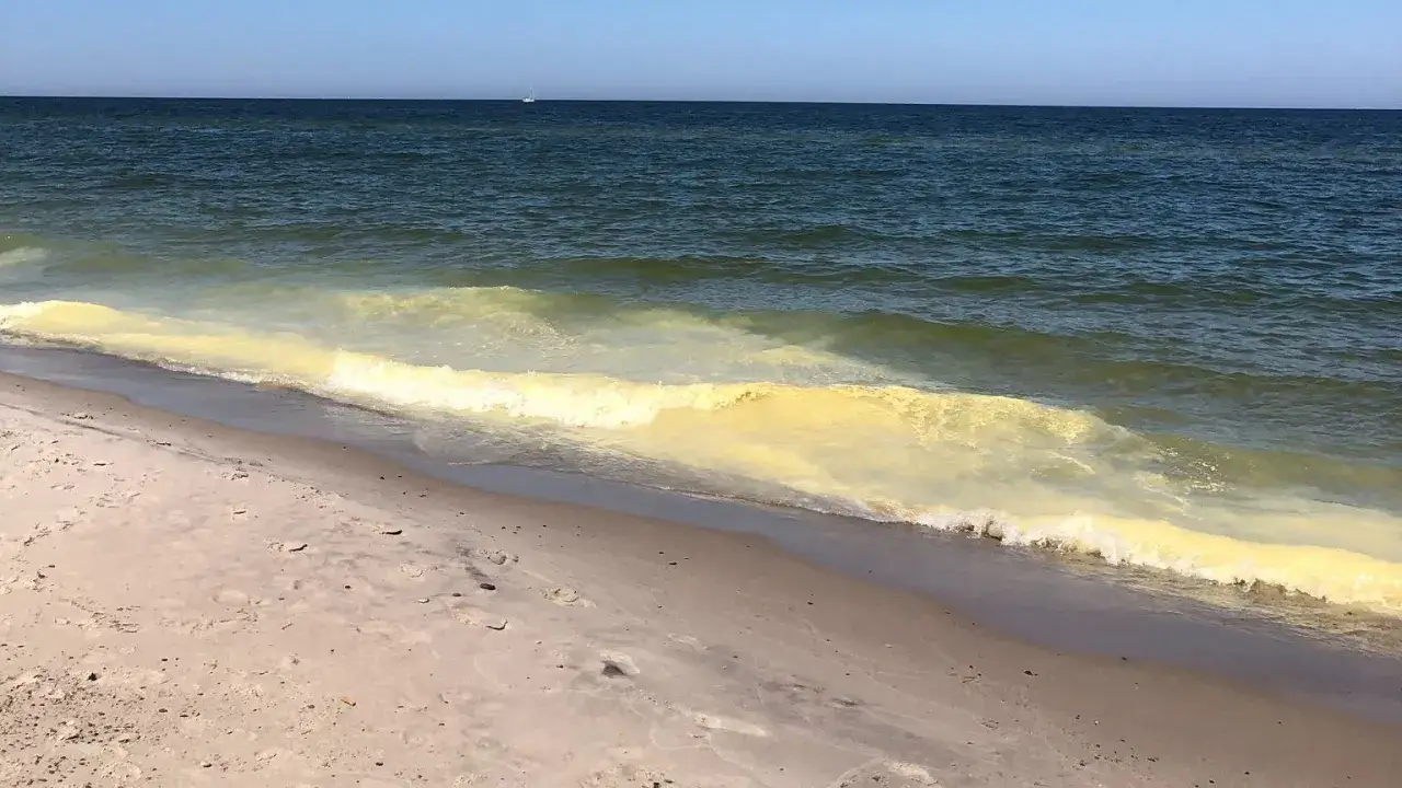 Temperatura wody w Bałtyku: co musisz wiedzieć przed wyjazdem nad morze