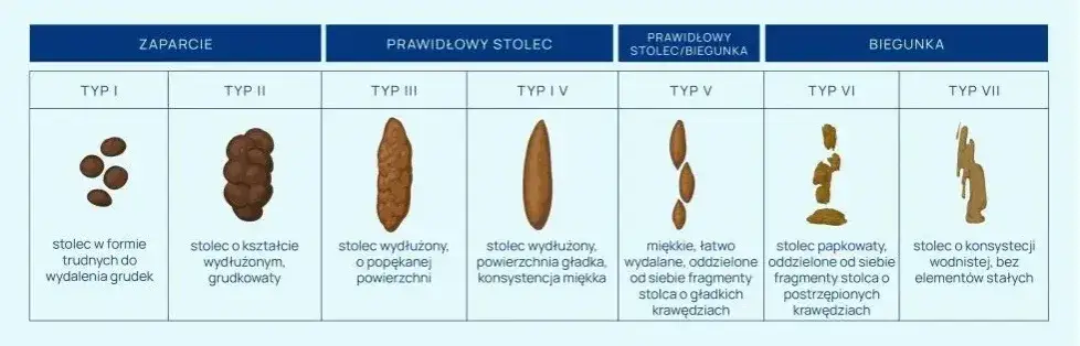 Jak przygotować kał do badania - uniknij najczęstszych błędów