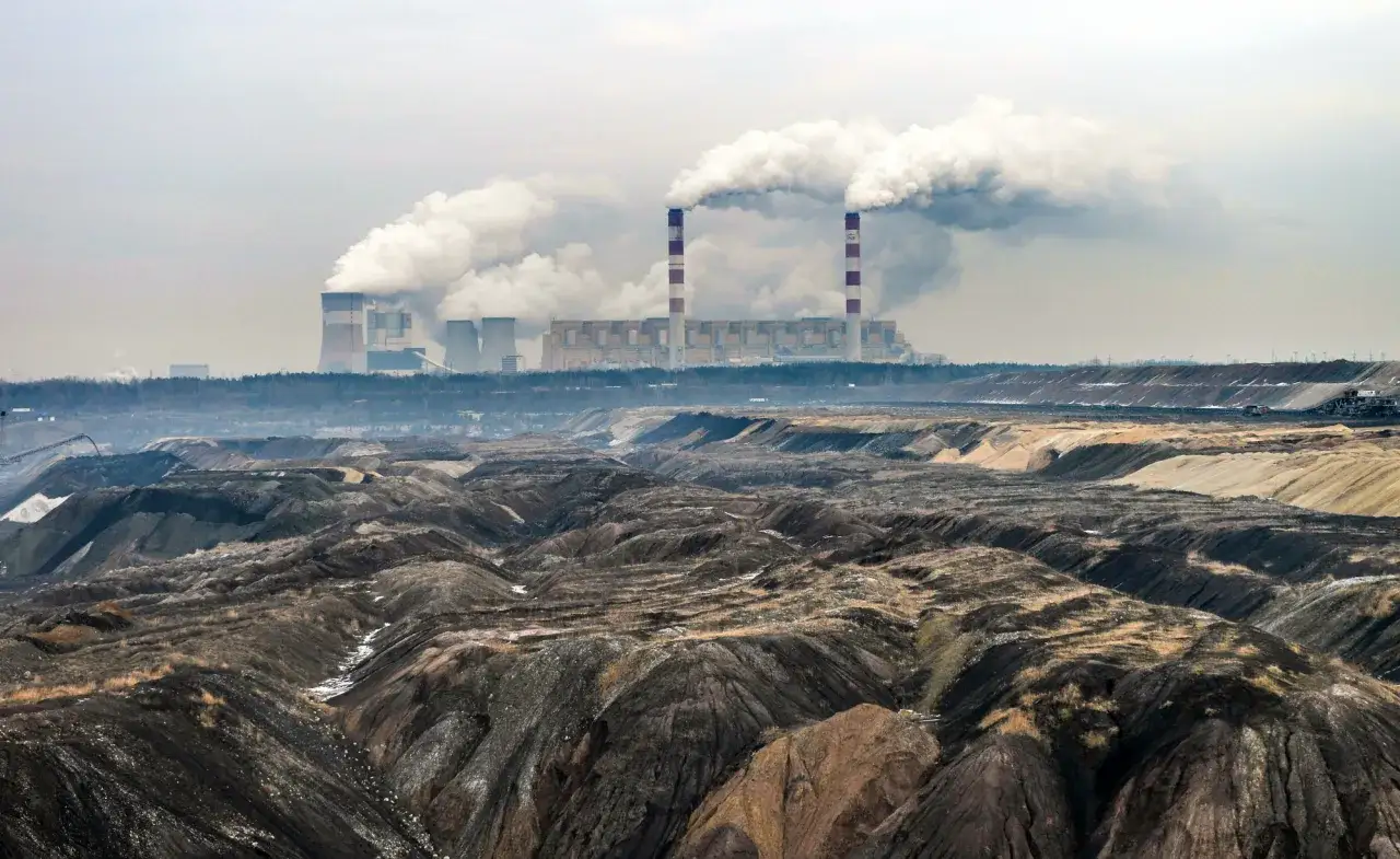 Czy ekogroszek to biomasa? Odkryj prawdę o jego ekologiczności