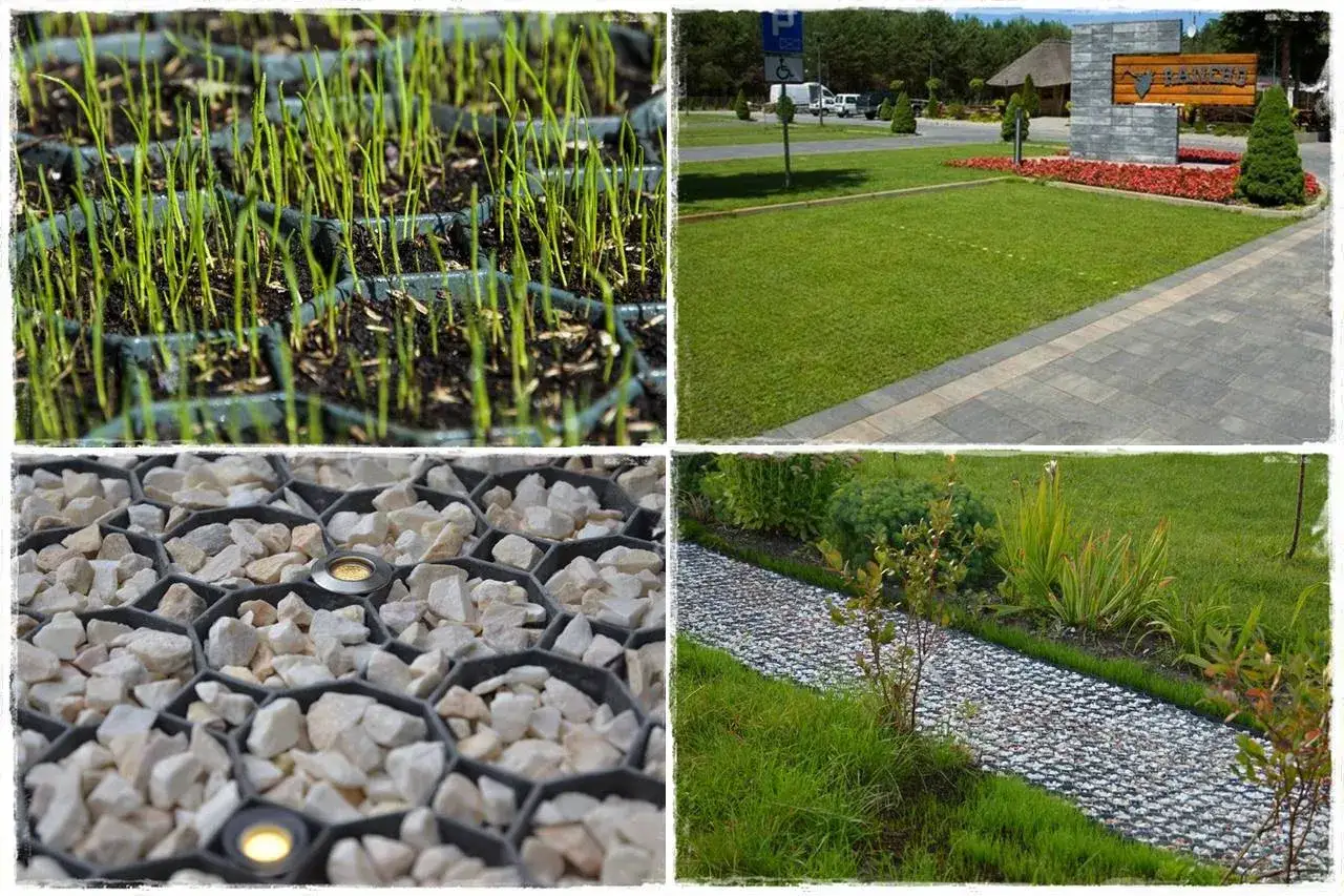 Jaką trawę na podjazd wybrać, by uniknąć problemów z pielęgnacją?