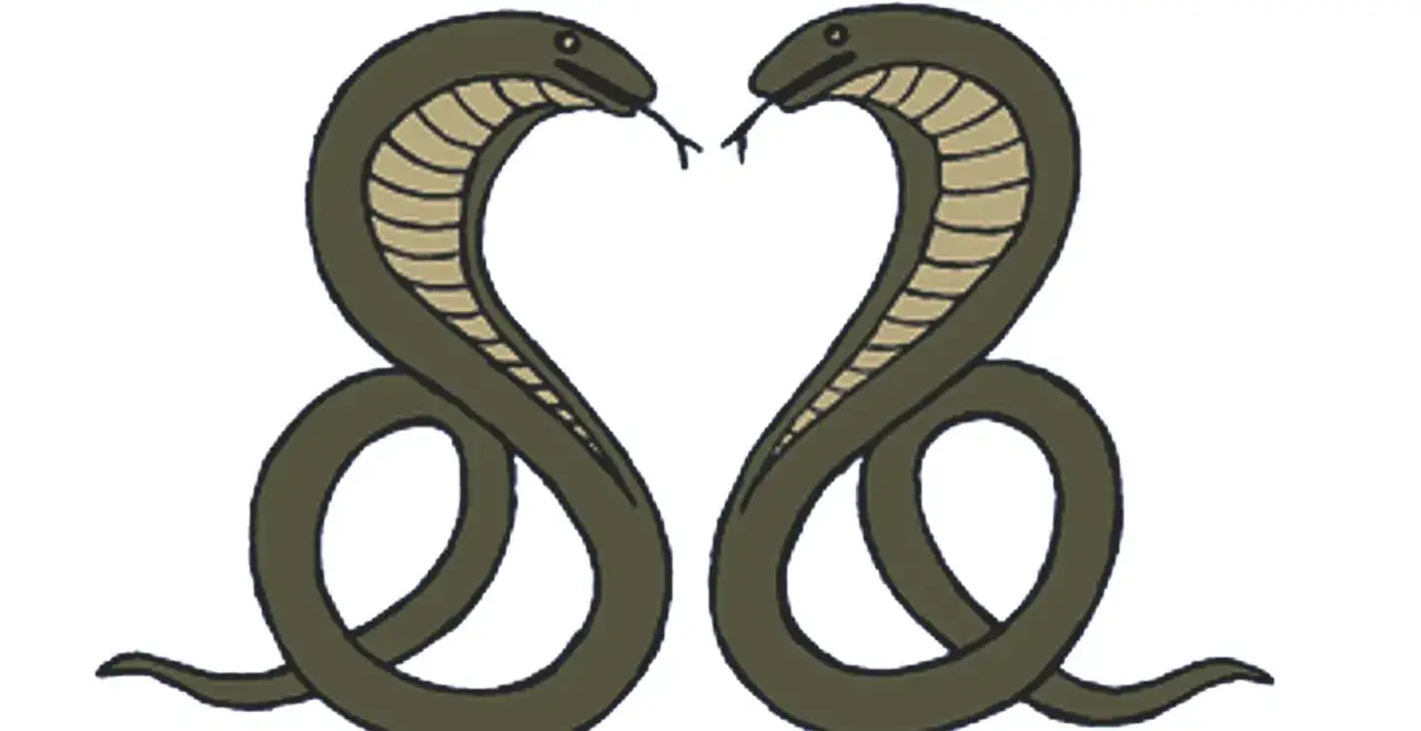 Dwa węże, jakby mówiące "dzień dobry jestem z kobry", tworzą serce.