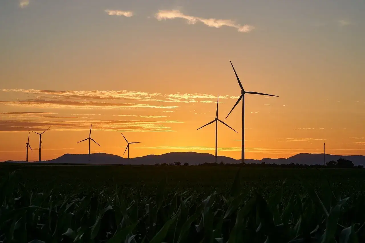 Dlaczego w Danii jest dużo elektrowni wiatrowych? Oto kluczowe powody