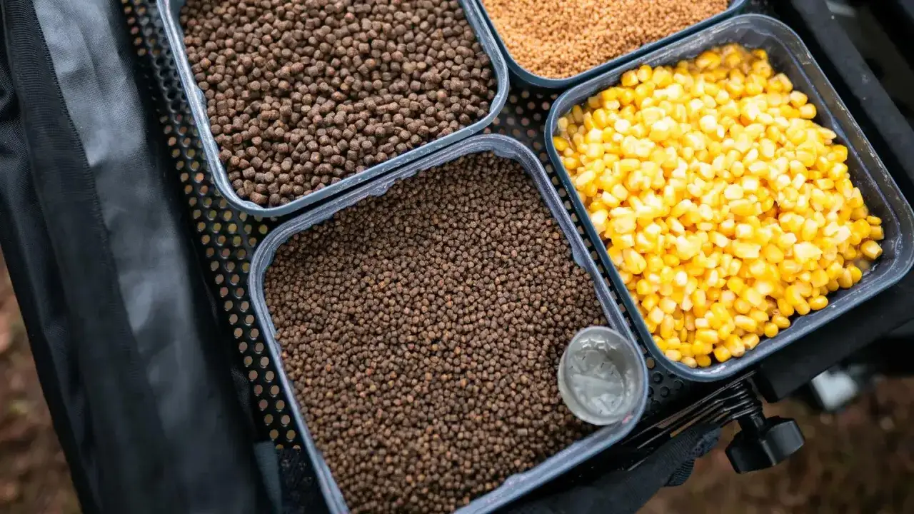 Pojemniki na zanętę z pelletem i kukurydzą, gotowe do akcji.