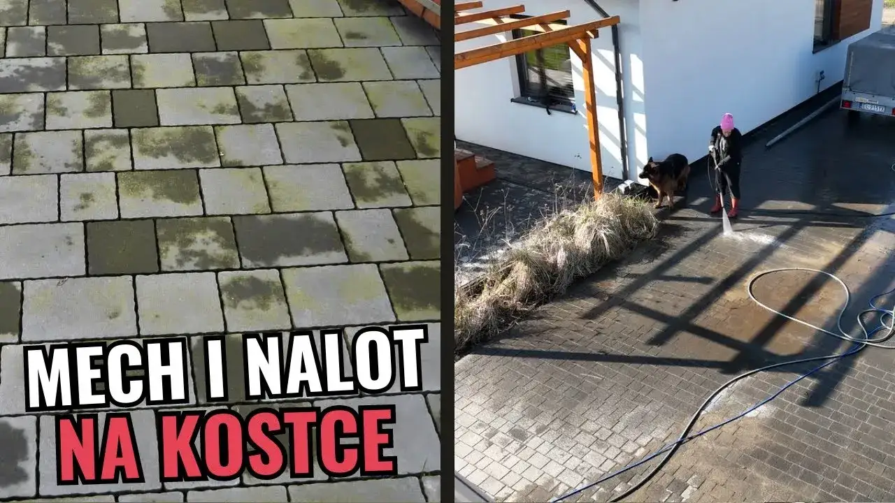 Jak usunąć zielony nalot z kostki brukowej - skuteczne metody i porady