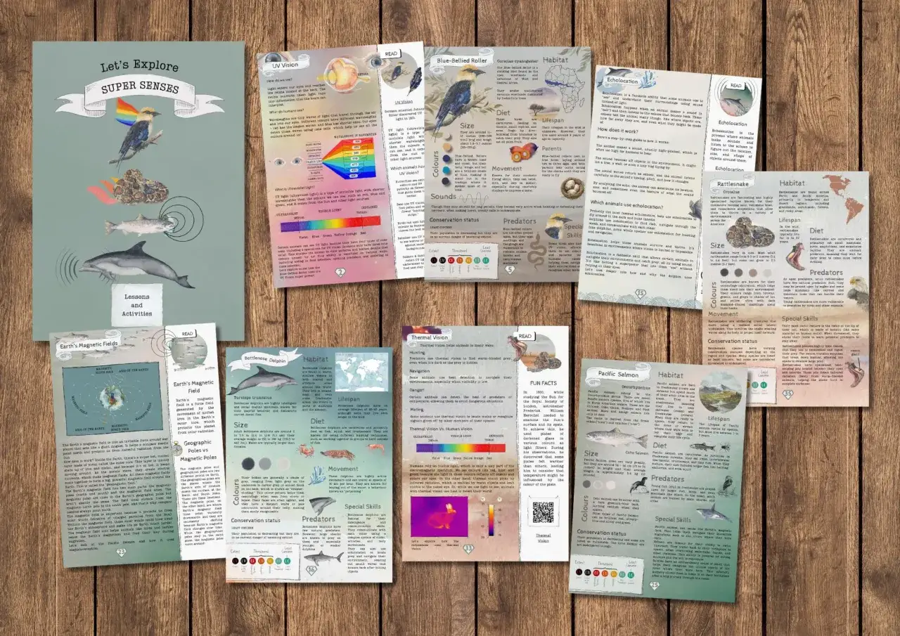 Echolokacja to sposób, w jaki zwierzęta "widzą" dźwiękiem. Delfiny używają jej do nawigacji i polowania.