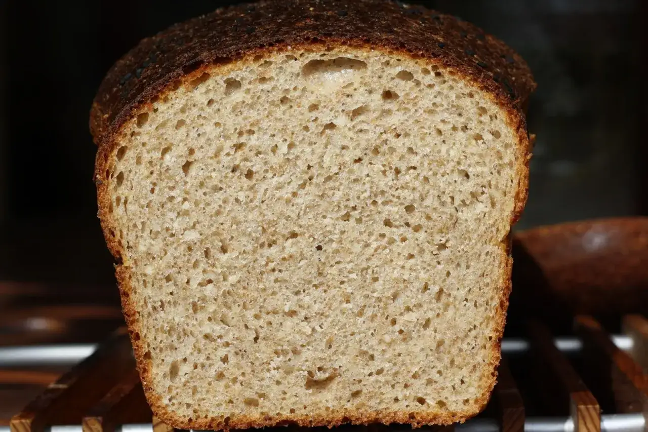 Chleb Ezechiela: Gdzie kupić? Sklepy, ceny, porady kompletny przewodnik