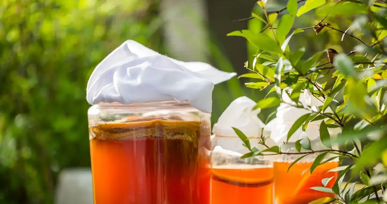 Ile pić kombuchy dziennie? Bezpieczne dawki i skutki uboczne