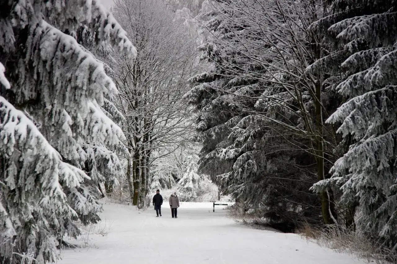 Ile śniegu w górach? Sprawdź aktualne warunki narciarskie!