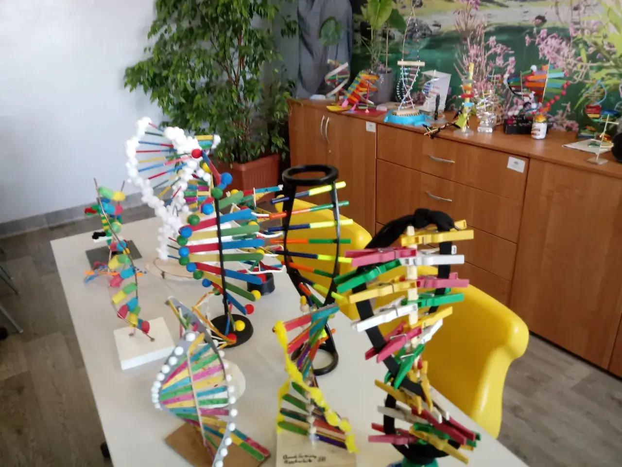 Kolorowe modele DNA z patyczków do uszu i klamerek. Inspiracja, jak zrobić model dna z patyczków do uszu.
