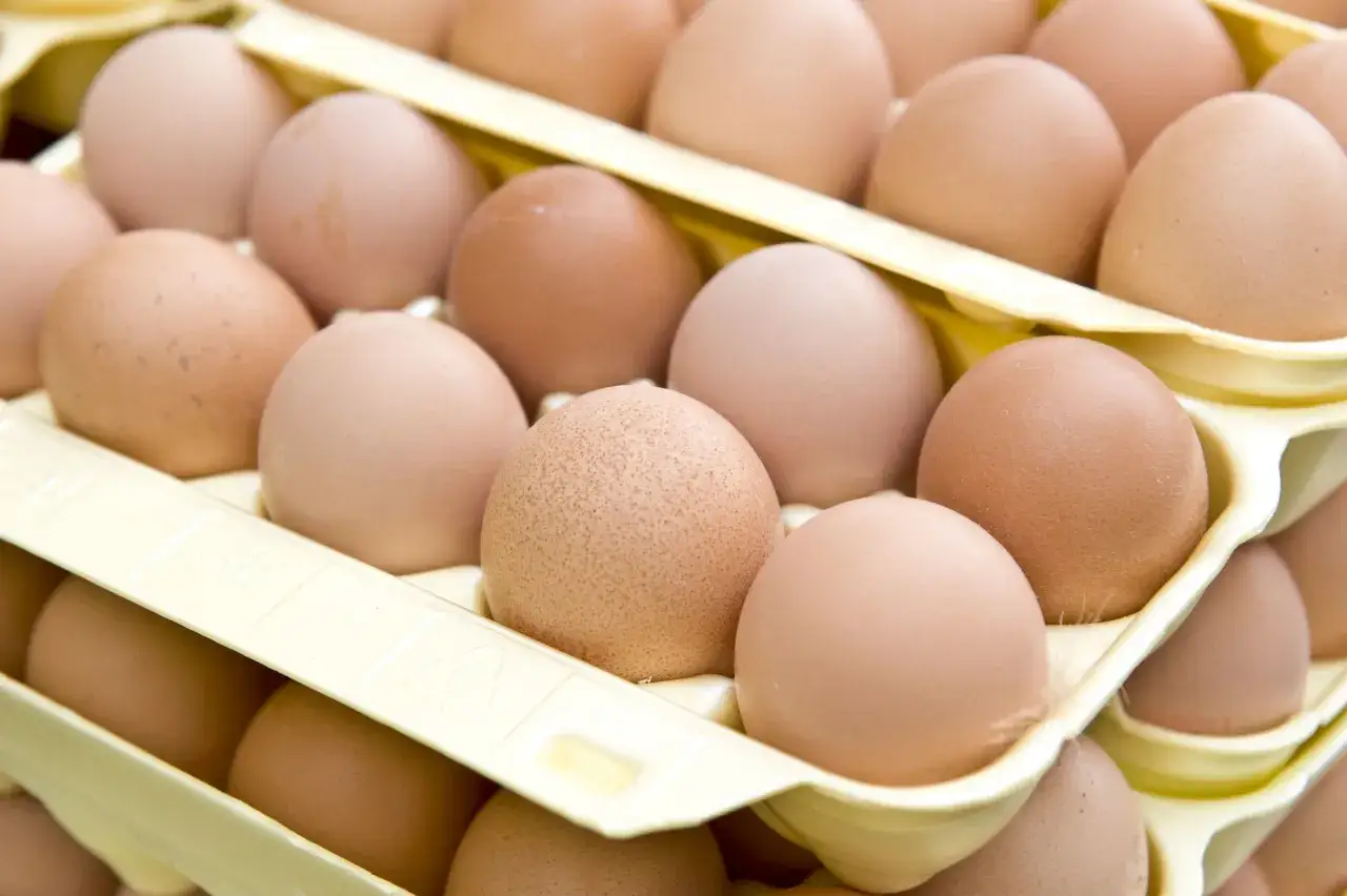 Jajka w wytłoczce. Zastanawiasz się, czy białka można mrozić? Tak, można je zamrozić, podobnie jak całe jajka.