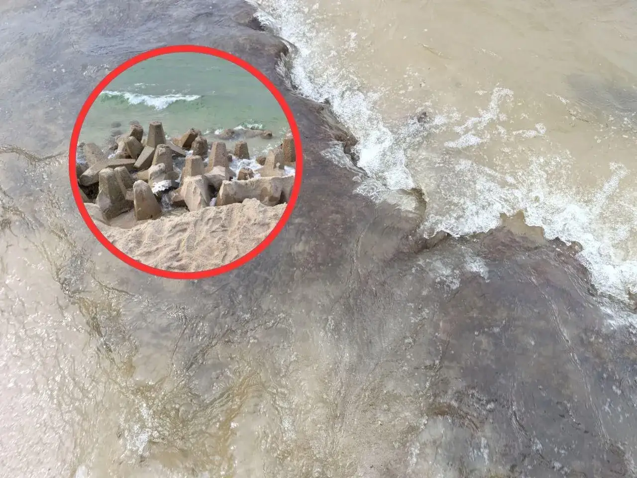 Bałtyk: Gdzie najwięcej jodu dla Twojej tarczycy? Ekspert radzi