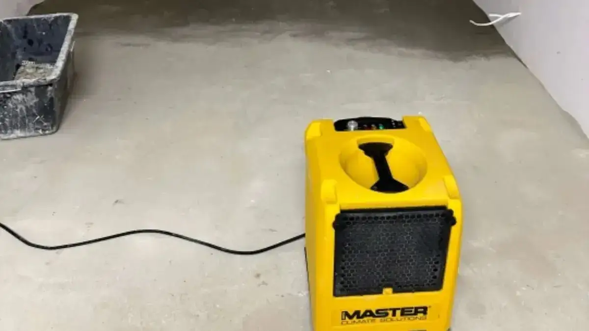 Jak osuszyć teren: skuteczne metody na walkę z wilgocią w glebie