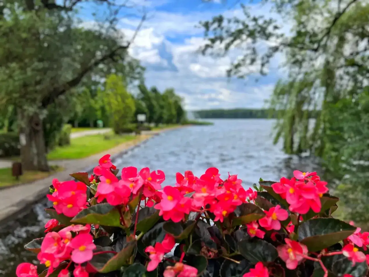 Jeziora Szczecineckie: Odkryj piękno natury i atrakcje turystyczne