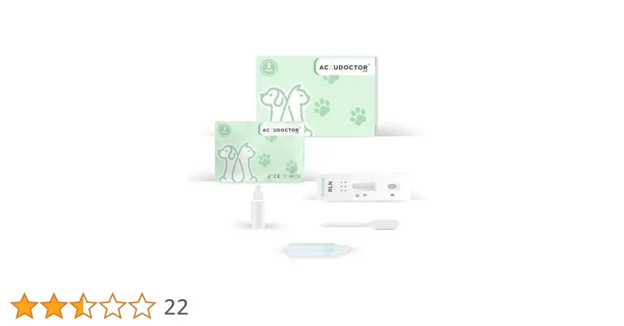 Gdzie kupić test ciążowy dla psa? Sprawdź najlepsze opcje!