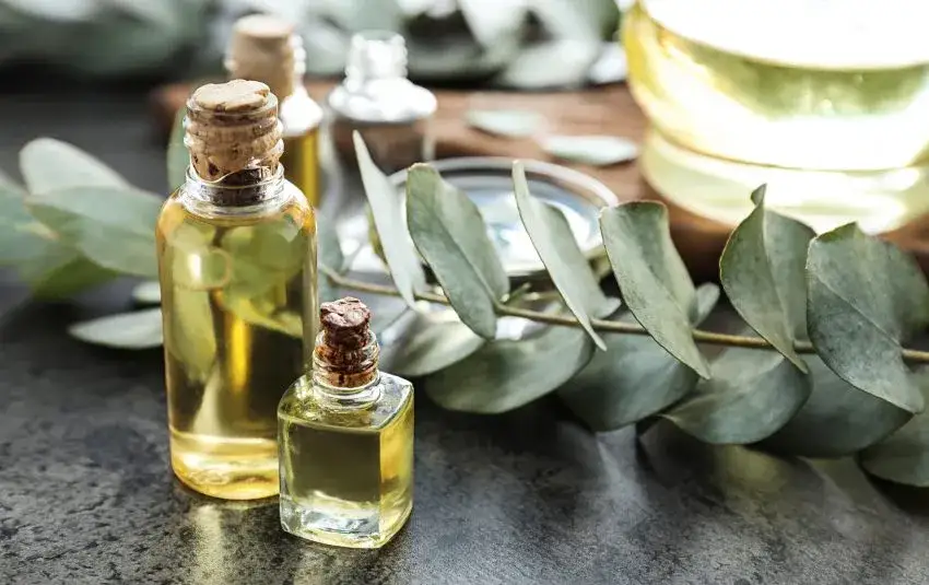 Nalewka z bursztynu: Pić czy nie? Bezpieczne zastosowania