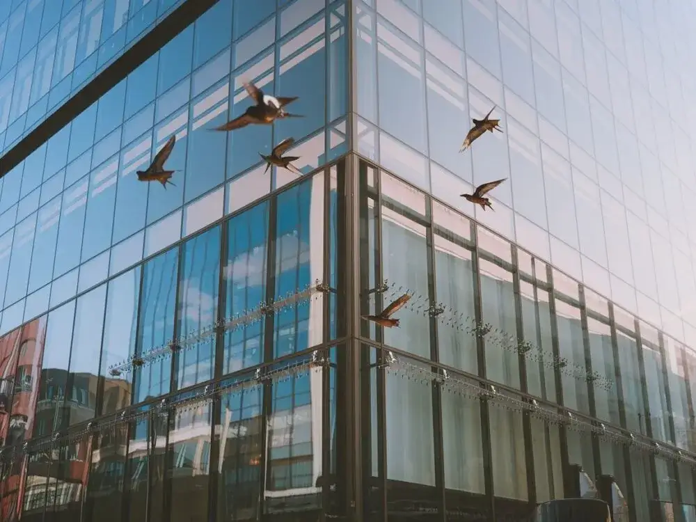 Jak pozbyć się jaskółek z elewacji: 7 skutecznych metod