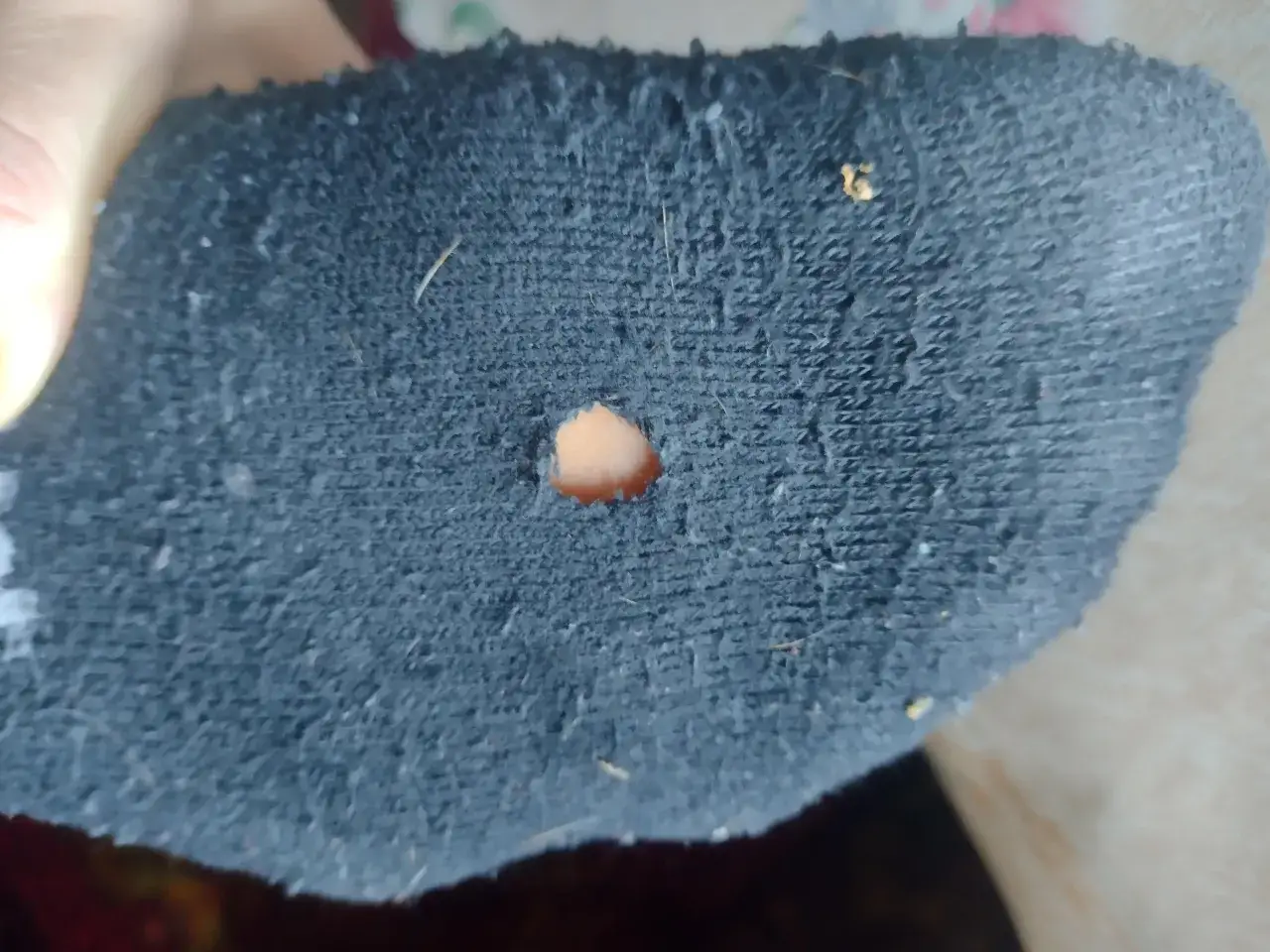 Co zrobić gdy buty dziurawią skarpetki – sprawdzone sposoby na ochronę skarpetek