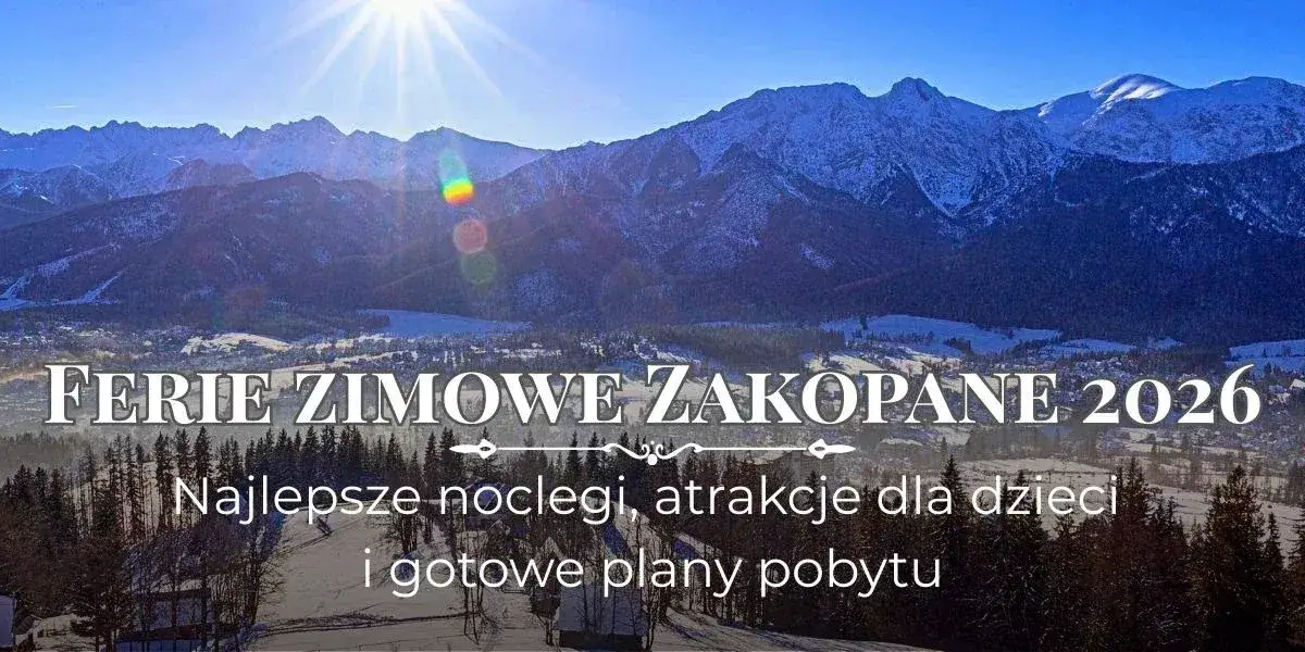 Stoki narciarskie Zakopane: Który wybrać? Przewodnik eksperta 2026