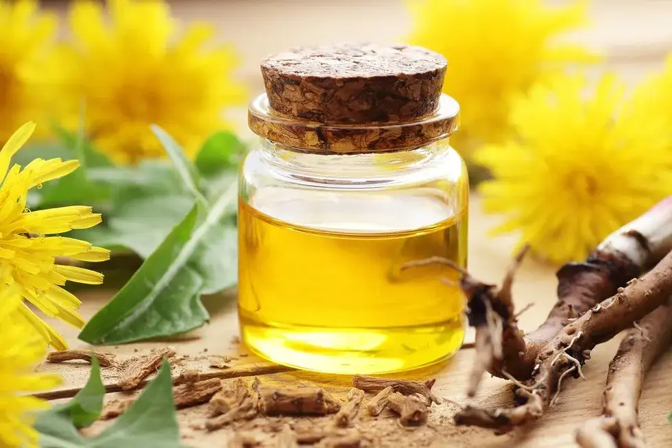 Nalewka z mniszka: jak wspiera wątrobę, trawienie i zdrowie?