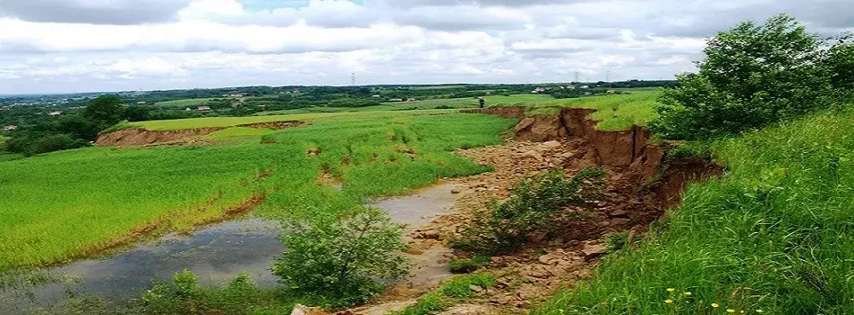 Co to jest rewitalizacja gruntów i jak zmienia zdegradowane tereny?