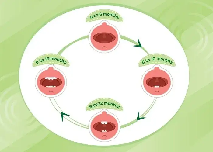 W jakiej kolejności wypadają zęby mleczne? Poznaj ważne etapy tego procesu