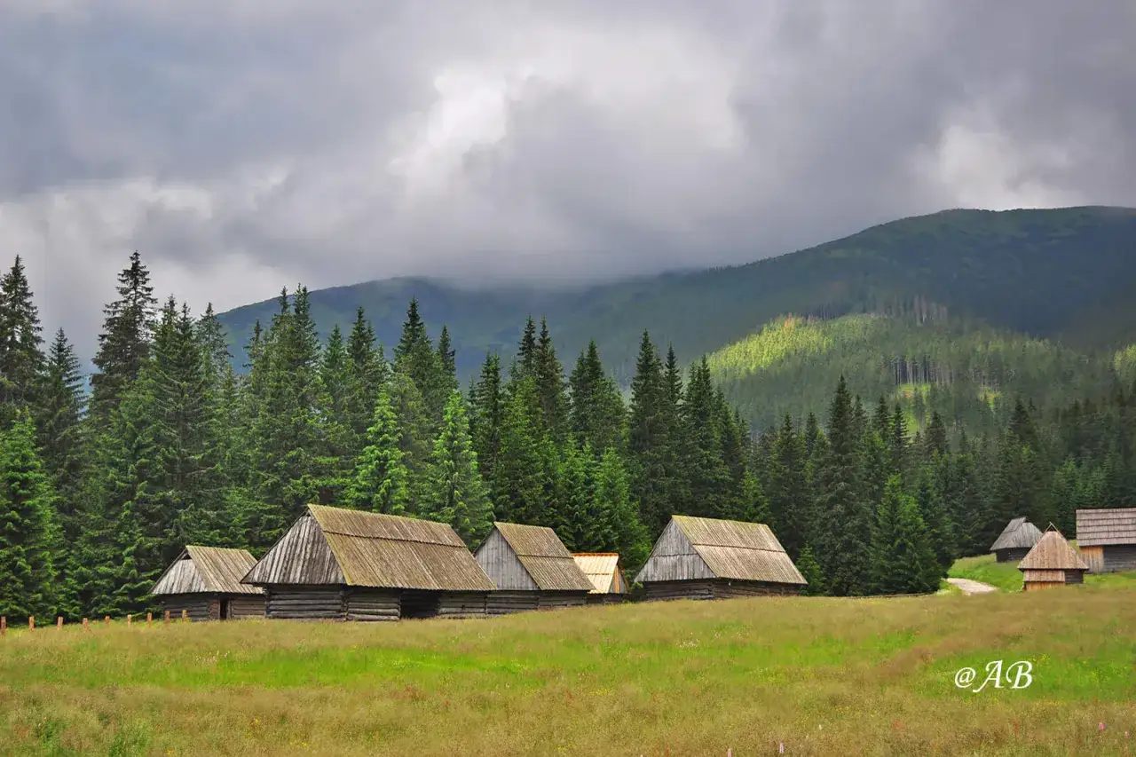 Jarząbczy Wierch: Kompletny przewodnik po szlaku i panoramach
