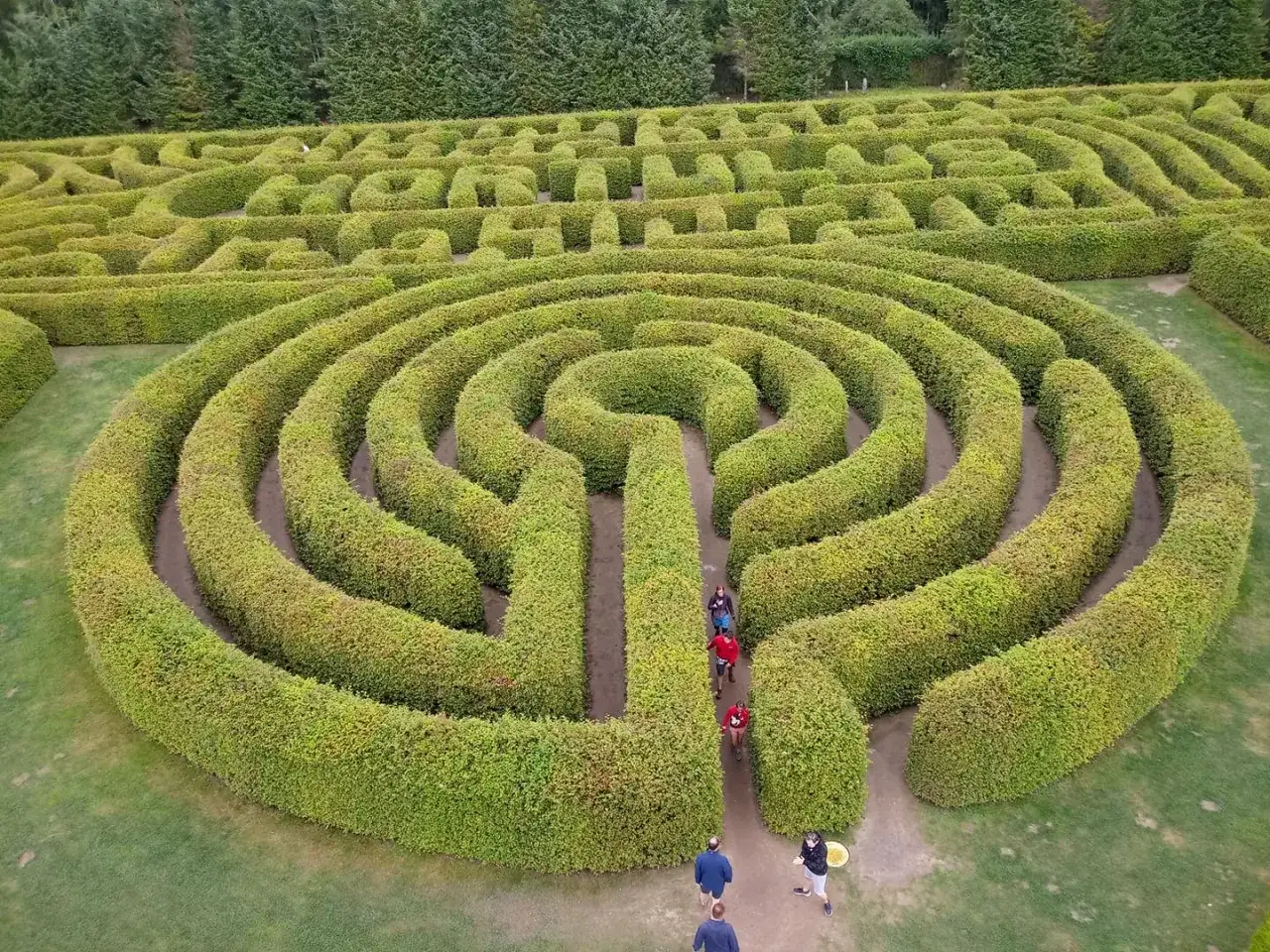 Dlaczego labirynt Hortulus to hit wśród rodzin z dziećmi? Analiza