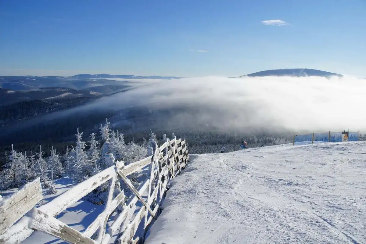 Zimowy krajobraz górski z ośnieżonymi drzewami, drewnianym płotem i morzem chmur.