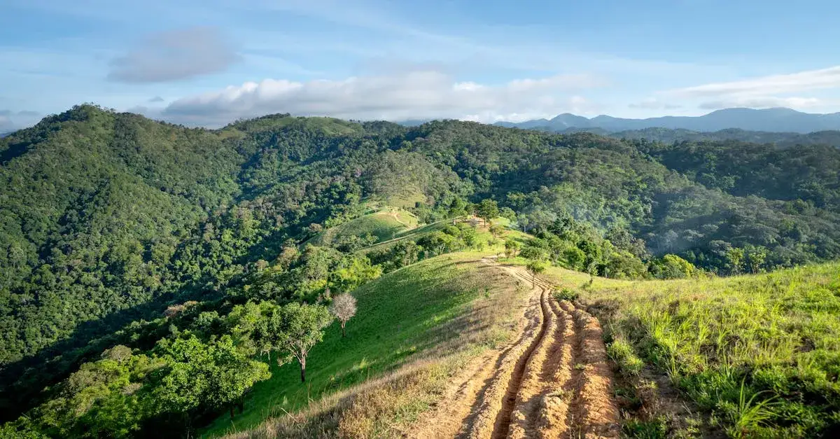 Jak zaplanować idealną 4-dniową wycieczkę w Bieszczady? Plan dnia