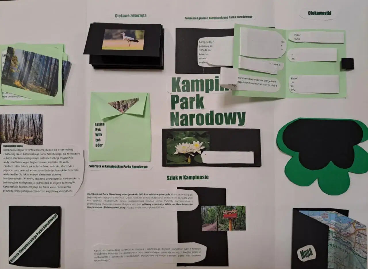 Jak wygląda lapbook? Przewodnik po interaktywnej teczce wiedzy