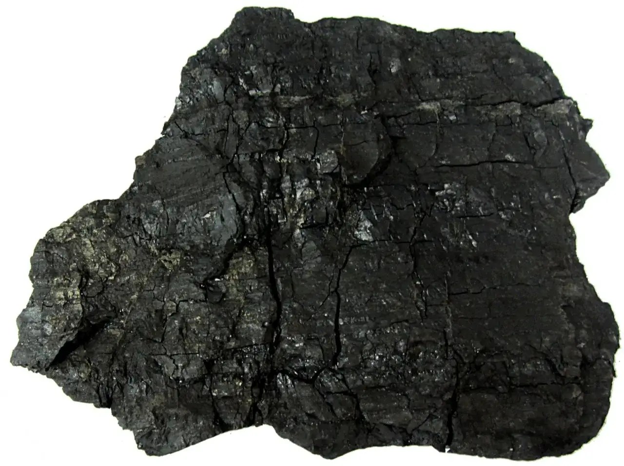 Okres geologiczny w którym powstał węgiel kamienny – tajemnice karbonu