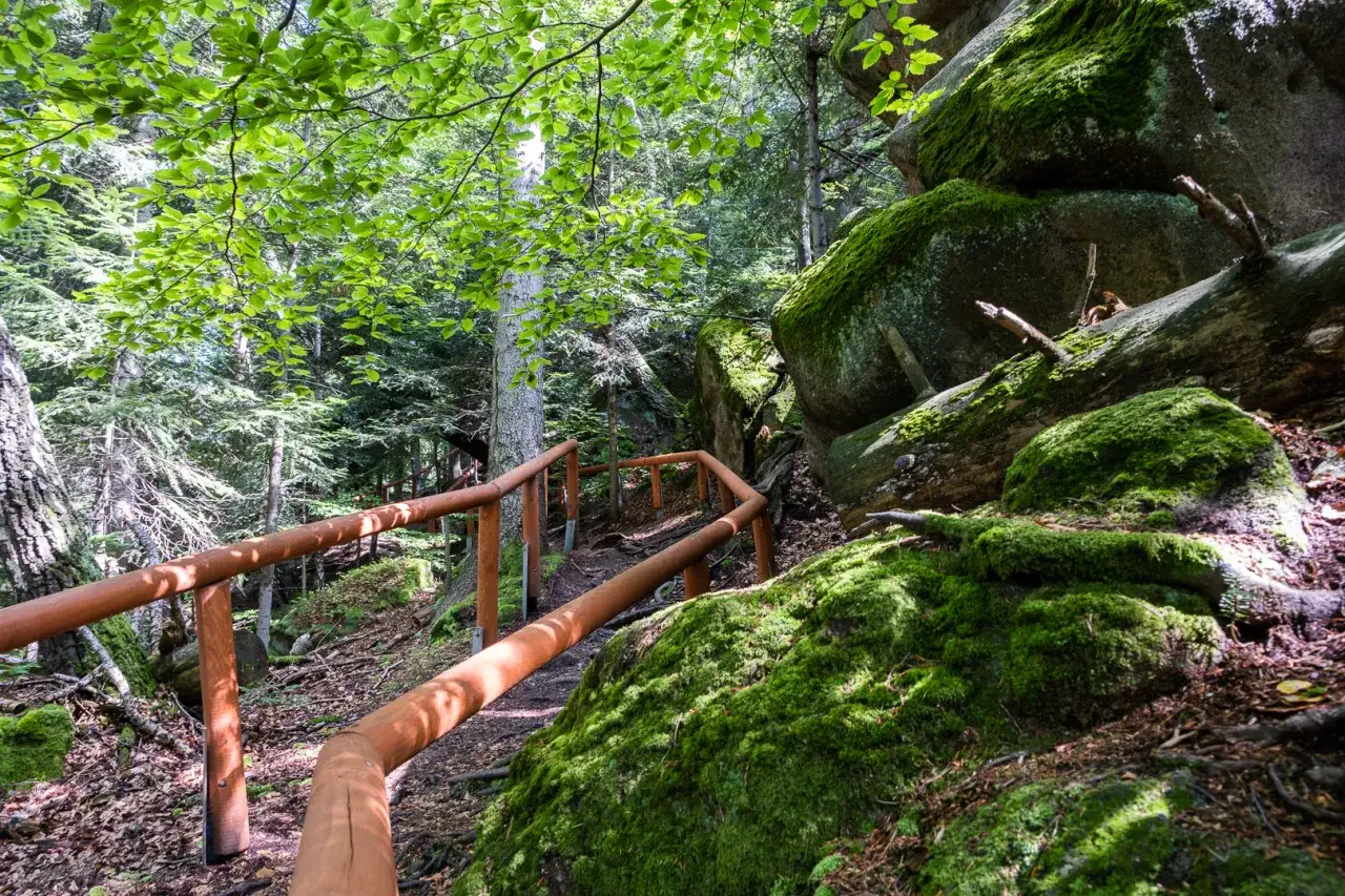Gdzie nocować w Magurskim Parku Narodowym? Najlepsze miejsca