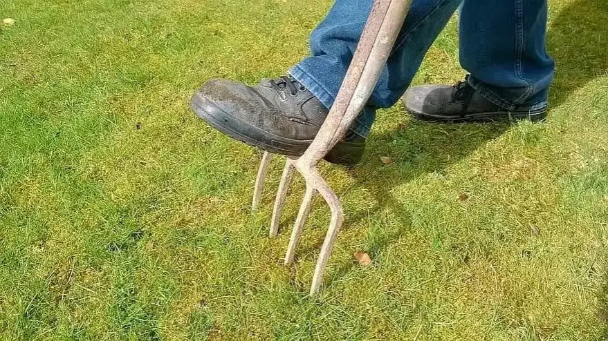 Kiedy nawóz po wertykulacji? Kluczowe wskazówki dla zdrowego trawnika