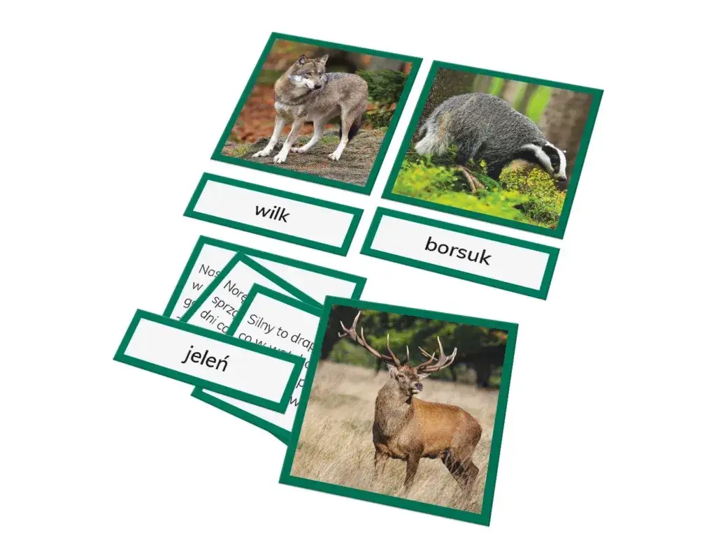 Zagadki o zwierzętach leśnych - rozwijaj wiedzę i baw się z dziećmi