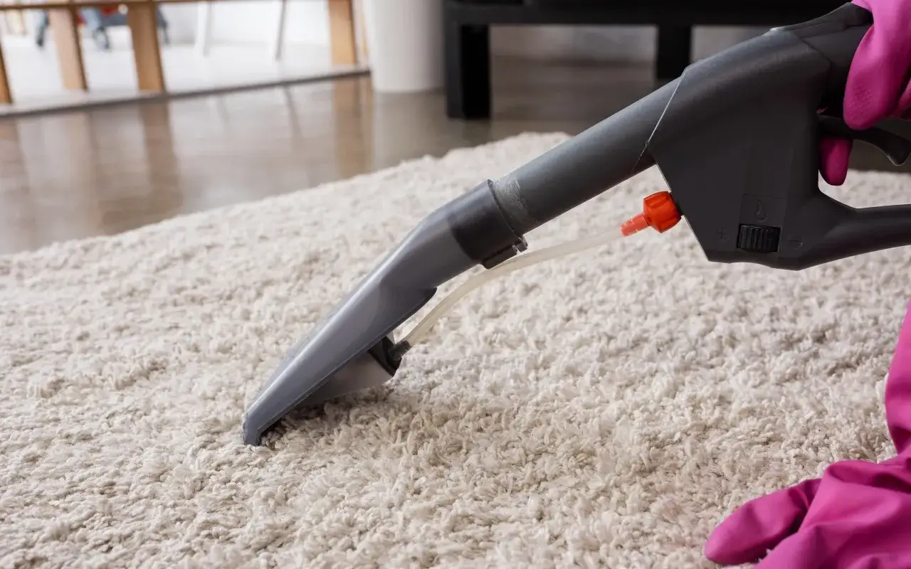 Jak skutecznie prać dywan odkurzaczem piorącym Bosch? Sprawdź!