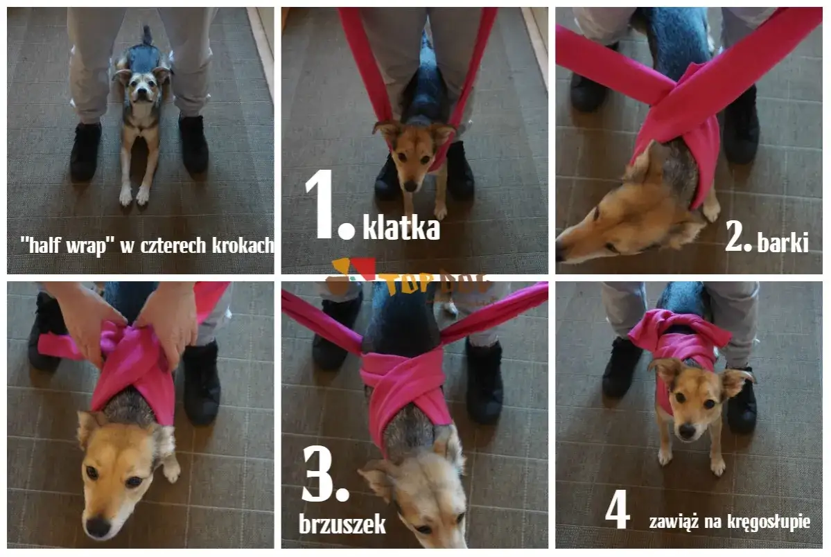 Instrukcja "half wrap" dla psa w czterech krokach. Nie strzelam w sylwestra, ale mój piesek czuje się bezpiecznie.