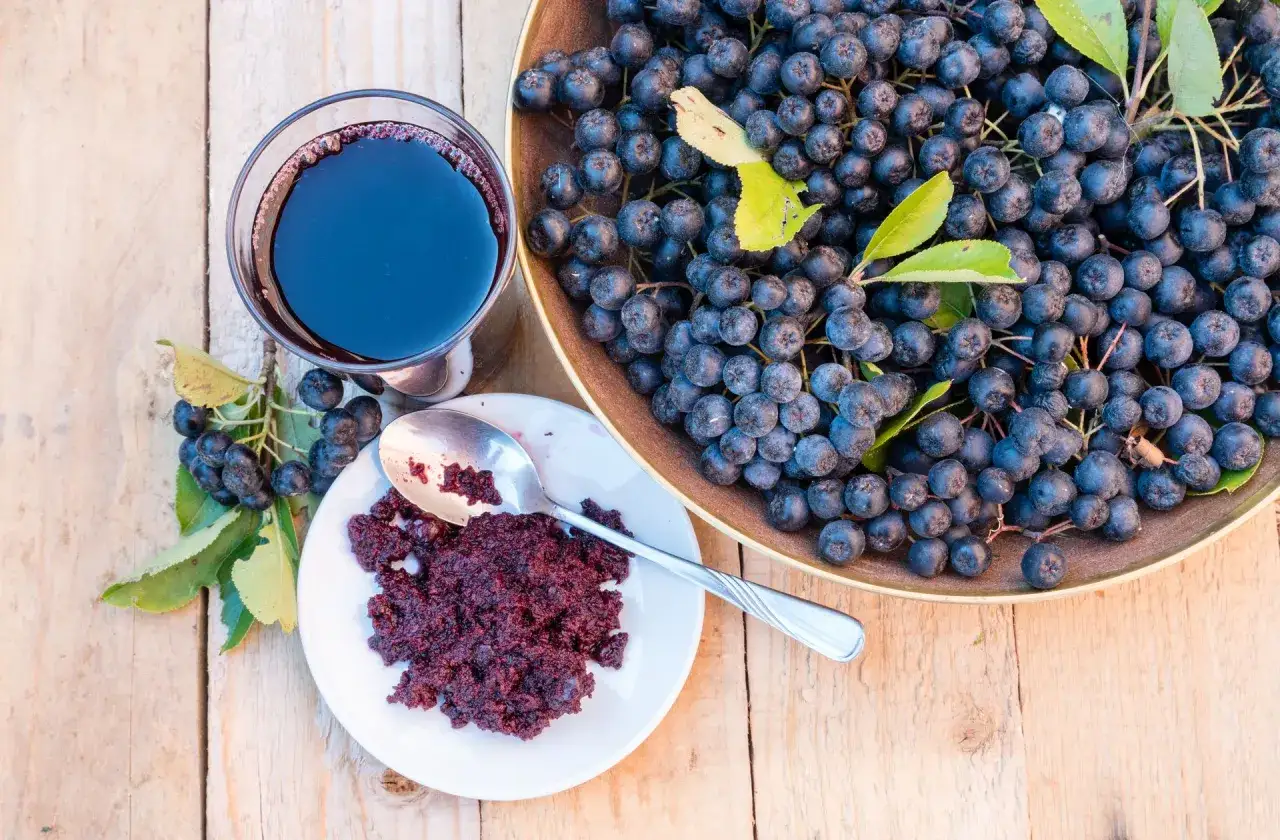 Sok z mrożonej aronii, świeże owoce i przetarty miąższ na talerzyku. Idealny sposób, jak zrobić sok z mrożonej aronii.